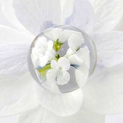 花まり ネックレス 白 バーナーワーク とんぼ玉 ガラス お花 クリスタル 小花 繊細 リアル 小さいお花 植物 葉っぱ 1枚目の画像