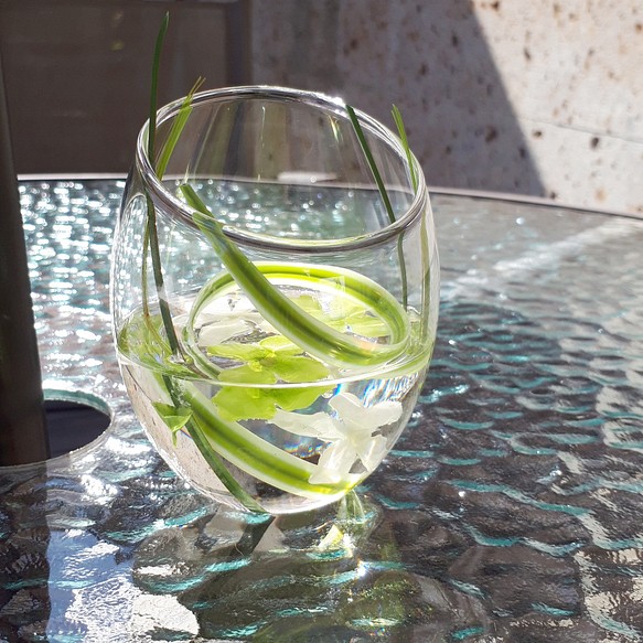 人工水とグリーンのグラス 1枚目の画像