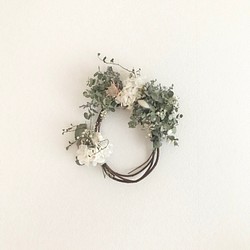 小葉ユーカリ dried flower oval wreatheドライフラワー - ドライフラワー