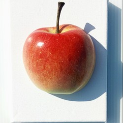 リンゴ 1枚目の画像