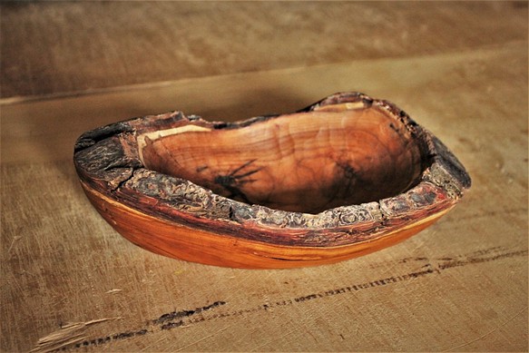 原木の小鉢（あんず） 1枚目の画像