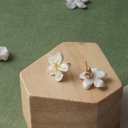 蘋果花 雞蛋花 耳環 耳夾 手工黏土裱花 可訂製 第1張的照片