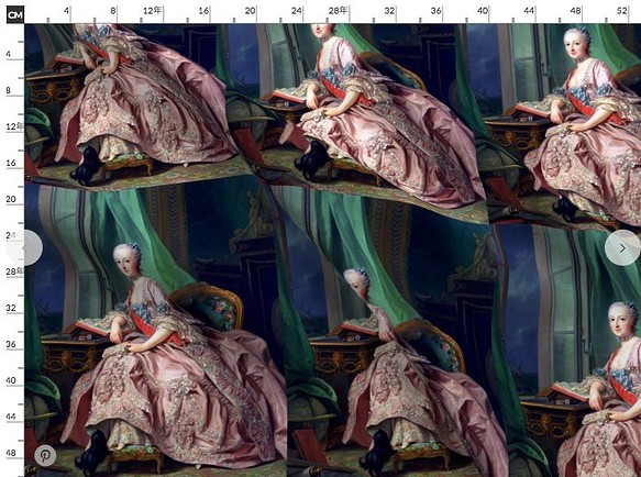 マリーアントワネット 生地 輸入生地 ピンクのドレスの肖像画 中世フレンチ宮廷 1枚目の画像