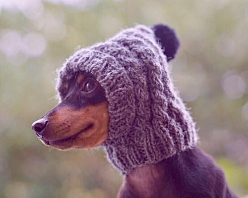 オーダー用デザイン見本 女の子カラー 例 ■ 犬用帽子 ■ ウエア 手編み ⑧