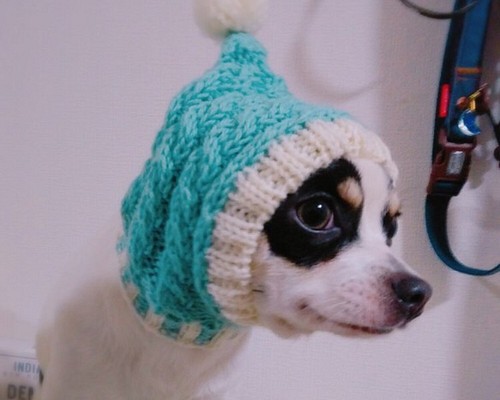 ポンポン カラー見本 ■ 犬用 スヌード 帽子 ■ 手編み ニット帽 インスタ