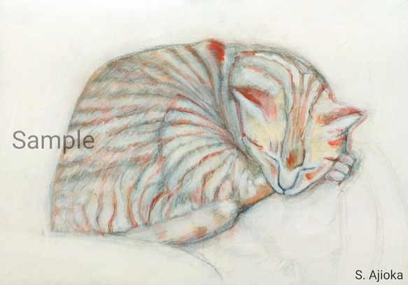 Tabby Cat (Rough Sketch) 虎猫　アクリル、色鉛筆絵画　真作 1枚目の画像