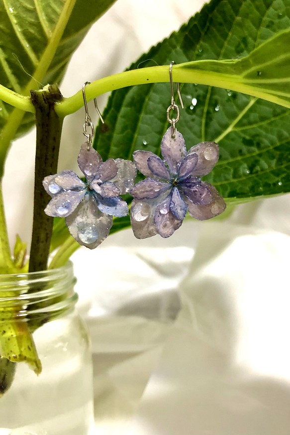 雨上がりの八重紫陽花〜雫　小さめのチタンフックピアス　金属アレルギーの方向き 1枚目の画像