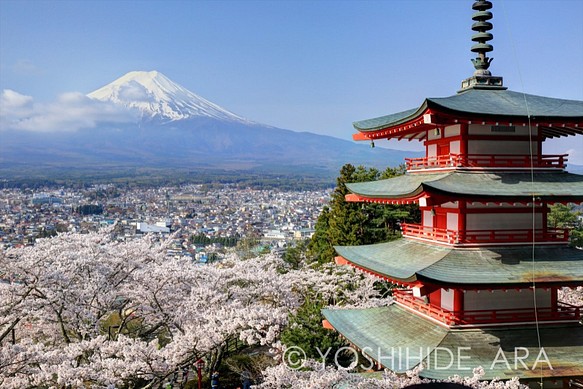 【額装写真】富士と桜と五重塔