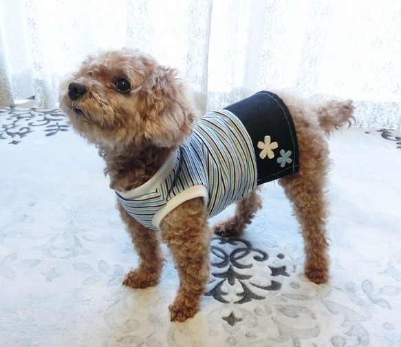 犬服　春色のさわやかなドッグウエアスカートタイプ　トイプードルサイズ～5kg 1枚目の画像