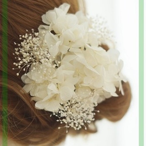 小さな髪飾り　紫陽花とカスミ草　プリザーブドフラワー　オフホワイト　成人式　結婚式　披露宴　卒業式