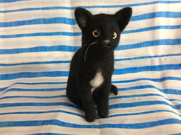 黒猫 1枚目の画像