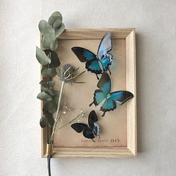 Butterfly インテリアフレームキット 1枚目の画像