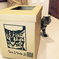 貓貓免洗便便箱 貓砂盆 掰掰 第1張的照片