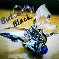 数量限定✨液体ガラスドーム　
バタフライヘアアクセサリー　
クリア&ブラック　グラデ 1枚目の画像