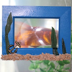 金魚のぞき窓　清流ブルー⁽小⁾ 1枚目の画像