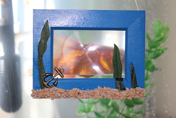 金魚のぞき窓　清流ブルー⁽小⁾ 1枚目の画像