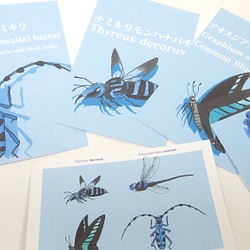 昆虫たちのカラーポストカード<ブルー> 1枚目の画像
