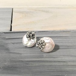 霞草和淡水珍珠petanko耳環 第1張的照片