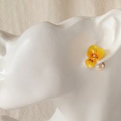 染め花を樹脂加工したビオラピアス・コットンパールキャッチ( SS・イエロー) 1枚目の画像