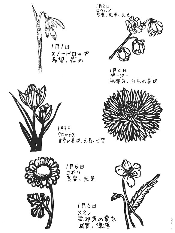 １月の誕生花のスタンプ Lancasterdentistry Net