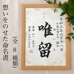 8種のお祝い柄※選べる手書き命名書(身長・体重記入タイプ) 雑貨