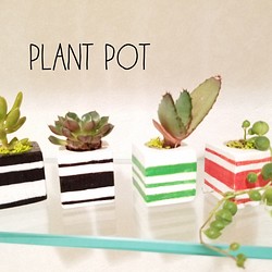 ボーダーカラー　plant pot 1枚目の画像