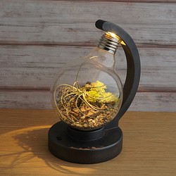 bulb terrarium ball [cast iron] 1枚目の画像