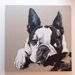 Boston Terrier contemporary art 第1張的照片