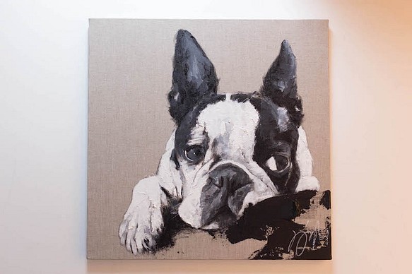 Boston Terrier contemporary art 第1張的照片