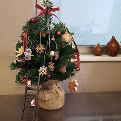 エトワールイリゼのクリスマスツリー～サンタが星を探して～ 1枚目の画像