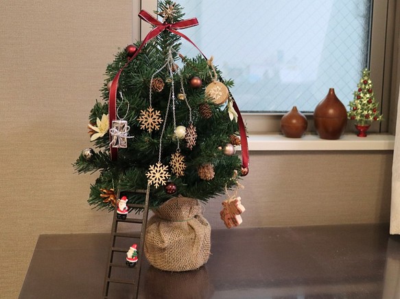 エトワールイリゼのクリスマスツリー～サンタが星を探して～ 1枚目の画像