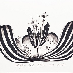 ダフネHCシェンカスタムレトロな花や葉は、独立のためのユニークな手描きのイラスト受注を作成します 1枚目の画像