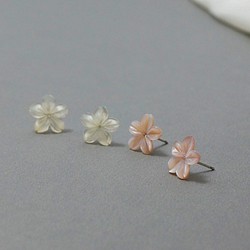 櫻花酒 貝殼雕花朵 925純銀耳針 台灣手作 第1張的照片