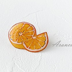 柑橘兄弟（橙色） 第1張的照片