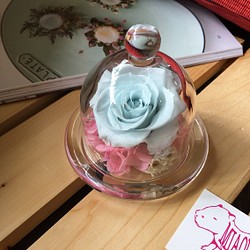 永生玫瑰玻璃花盅（baby藍櫻花粉）。母親節禮物。畢業禮物 第1張的照片
