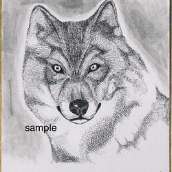 手描きイラスト ペン画 オリジナル 狼 直筆一点物 1枚目の画像