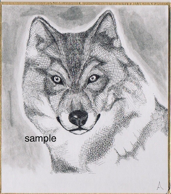 手描きイラスト ペン画 オリジナル 狼 直筆一点物 1枚目の画像
