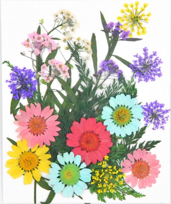 ドライフラワー　押し花　DIY用　初夏の配色 1枚目の画像