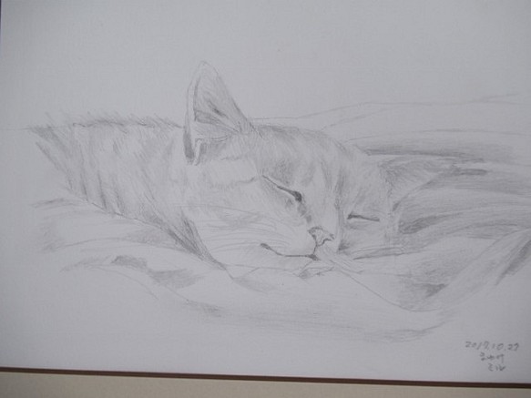 眠り猫　昼寝　鉛筆画　インチサイズ 1枚目の画像