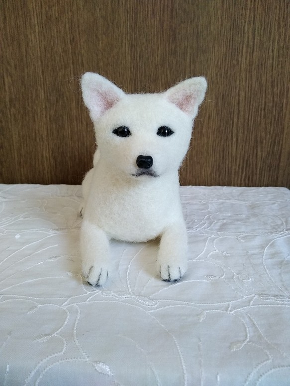 羊毛フェルト　日本犬　紀州犬　白い犬 1枚目の画像