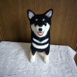 羊毛フェルト　柴犬　黒柴　お座り舌出し