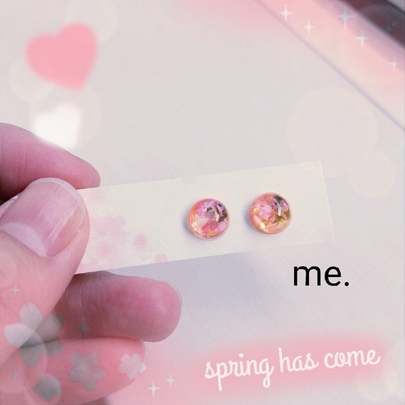 春桜　シェル　miniプチ 樹脂イヤリング 1枚目の画像