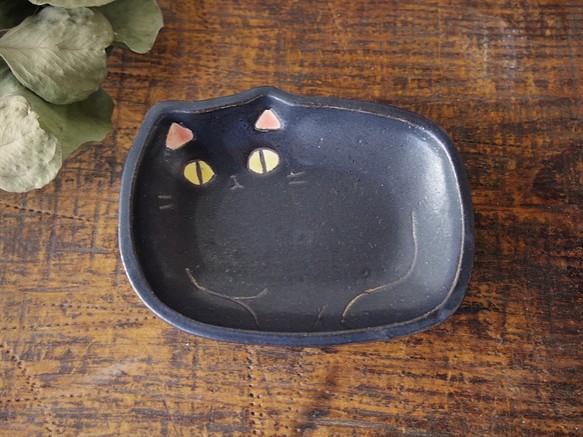 黑貓豆菜 第1張的照片