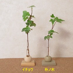 天然木 一輪挿し《ころころ》敷板（磁石付）セット 一輪挿し・花瓶・花器 katsu工房 通販｜Creema(クリーマ)