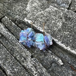 Pigtail 紫陽花球(藍紫色） 第1張的照片