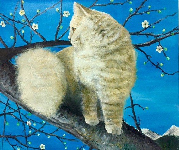 日本画『月』猫と月 M50号 | www.ddechuquisaca.gob.bo