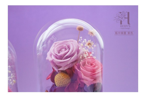 Hedy's ❤️[瓶中精靈*紫玫瑰/藍玫瑰] 永生花乾燥花禮物 玻璃盅微景觀 日本進口永生玫瑰 繡球花 折扣中❤️ 第1張的照片