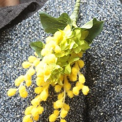 幸せの黄色いコサージュ　～The　ミモザ～ 1枚目の画像