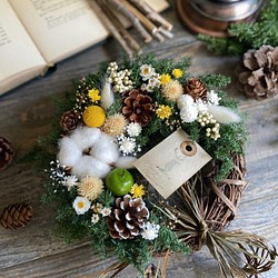 クリスマスリース『冬の森の物語』〜絵本の中のクリスマス〜16㎝ 1枚目の画像