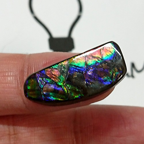 宝石ルース アンモライト 化石 Ammolite /約3.6g/1個 カナダ産